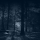 Illustration for article titled The Graveyard Shift: Go Inna Woods Edition